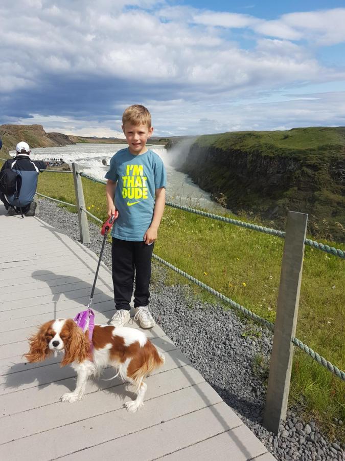 Thingvellir Lake Cottage Veithilundur 외부 사진