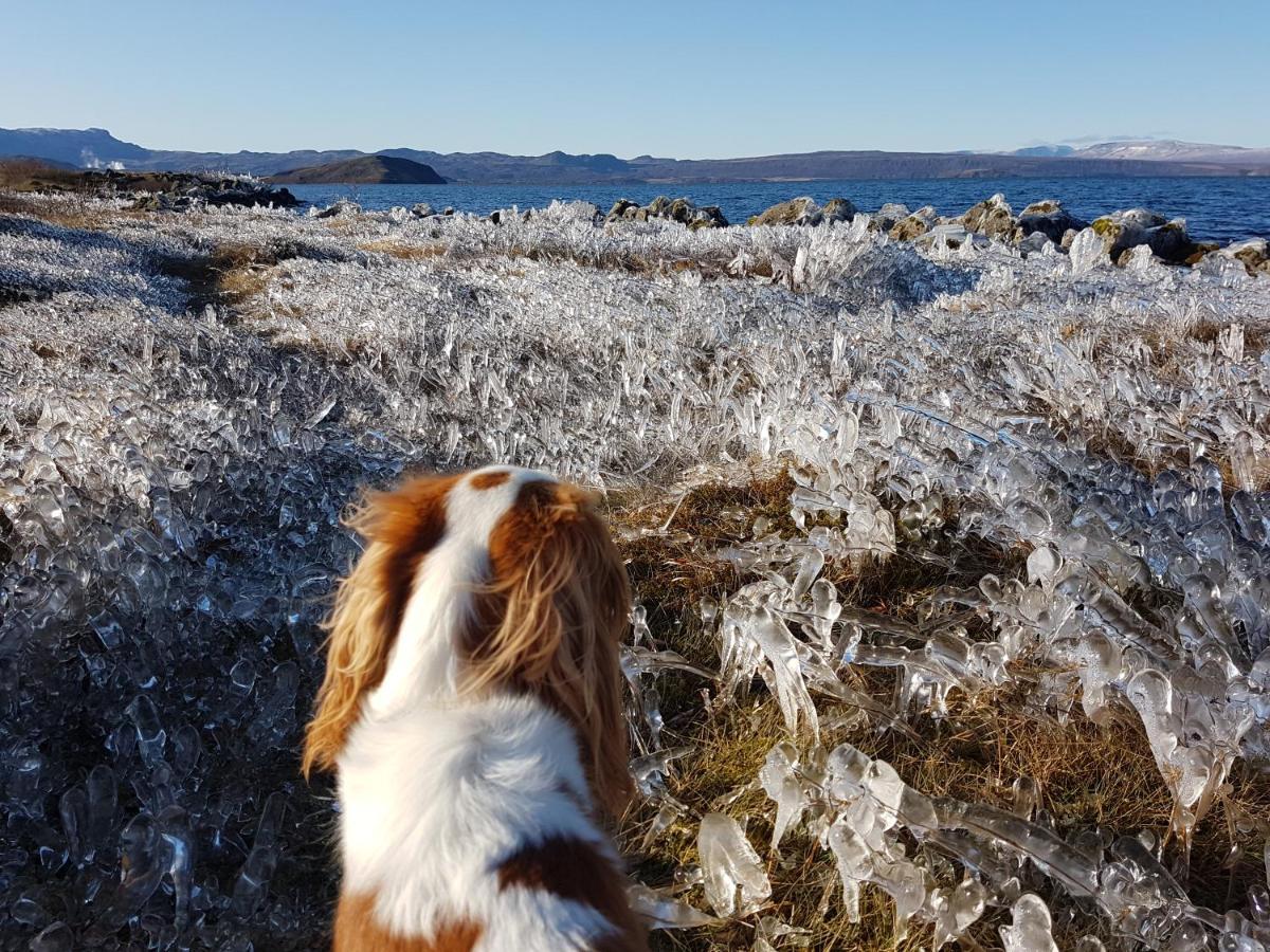 Thingvellir Lake Cottage Veithilundur 외부 사진